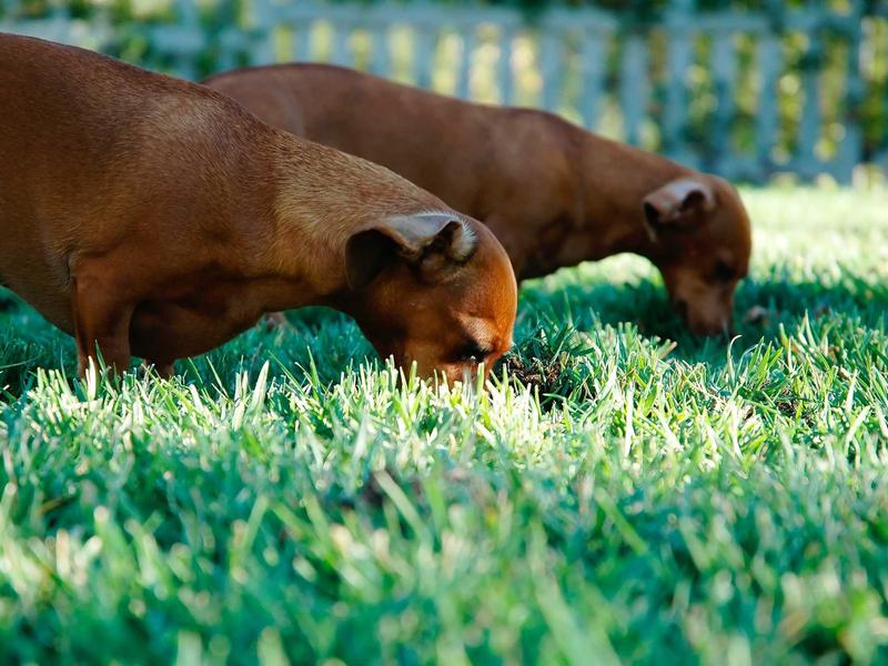 sudoku elimination method screenshot 5